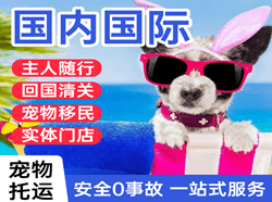 东河机场物流国际宠物托运 【国